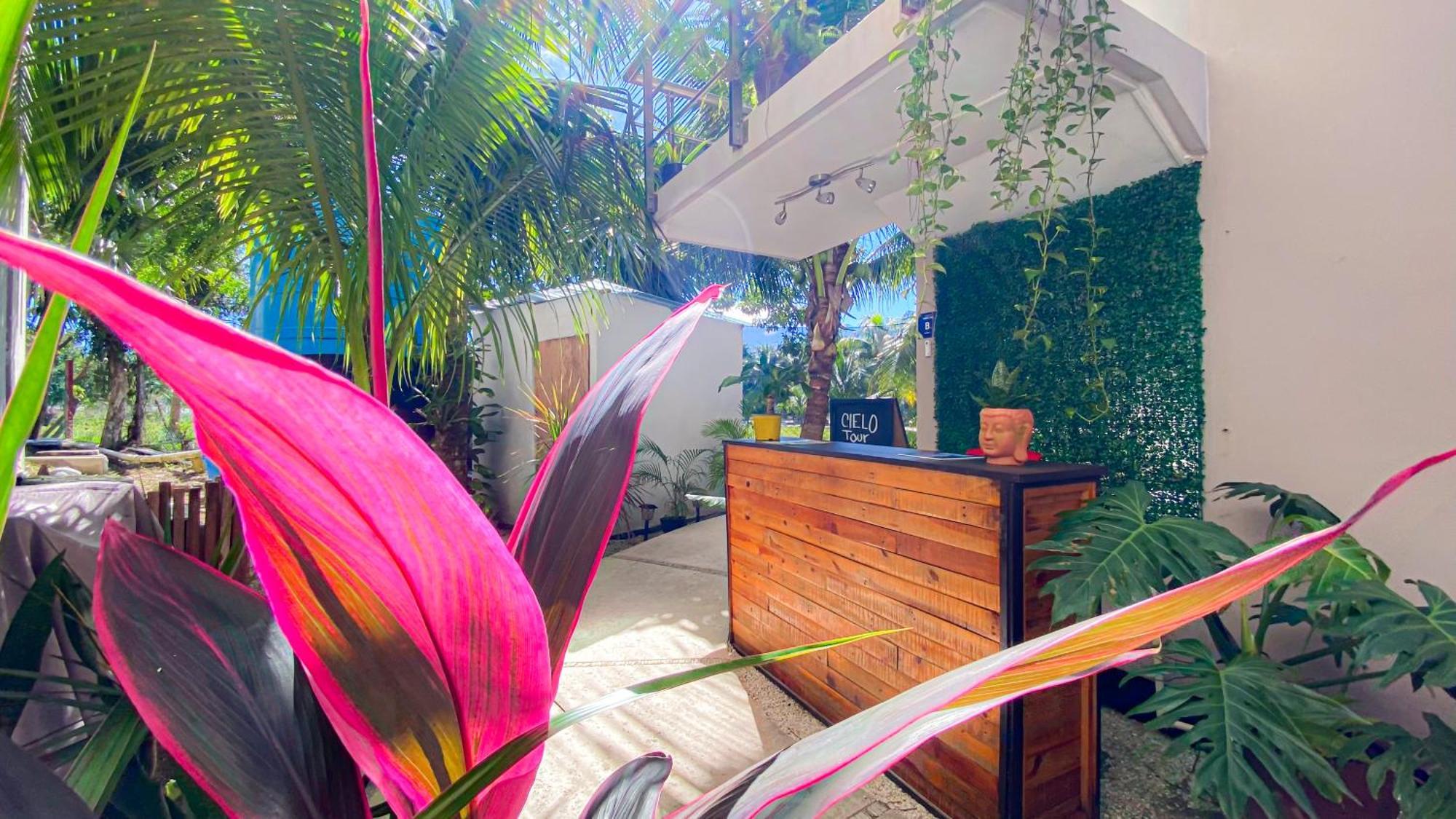 Maia Suites Cozumel Eksteriør billede